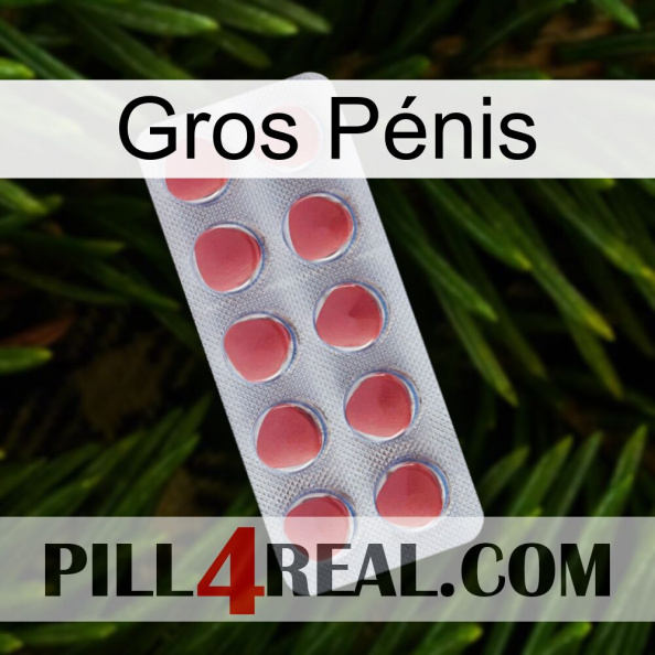 Gros Pénis 18